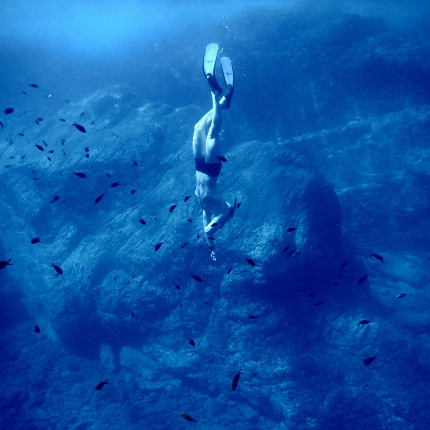 UXi Sport – International Rugby Institutes