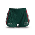 Leister Tigers Gym Shorts