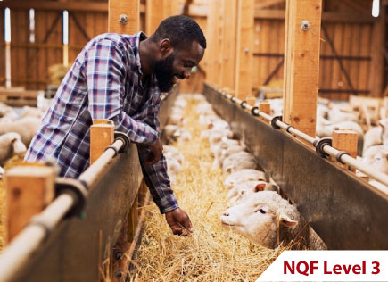 Livestock Farmer