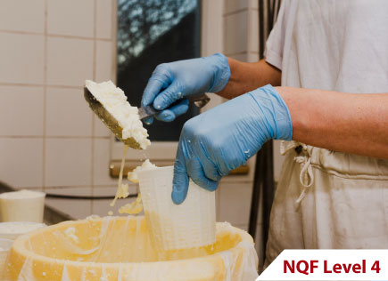 Fermented Dairy Products Maker
