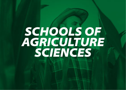 School of Sport & Agricultural Science