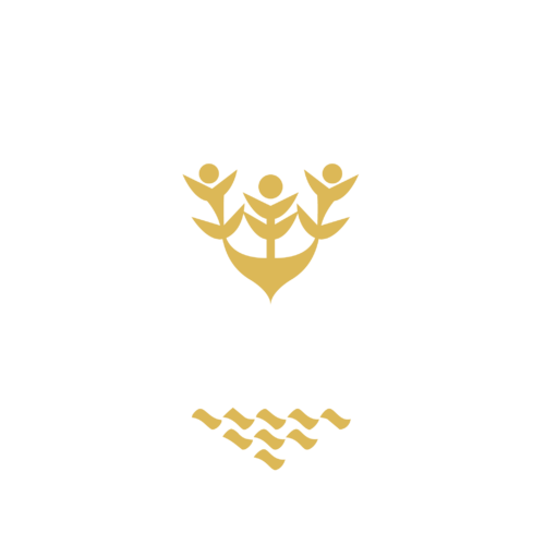 Easter Cape International Rugby Institute Easter Cape International Rugby Institute