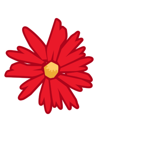 Northern Gauteng International Rugby Institute Northern Gauteng International Rugby Institute