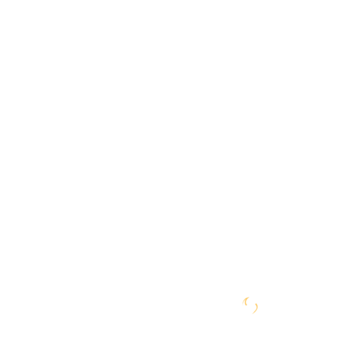 Namibia International Rugby Institute Namibia International Rugby Institute