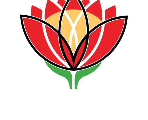 Western Cape International Rugby Institute Western Cape International Rugby Institute