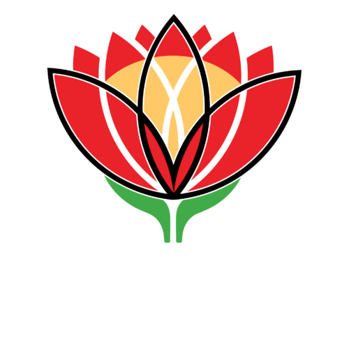 Western Cape International Rugby Institute Western Cape International Rugby Institute